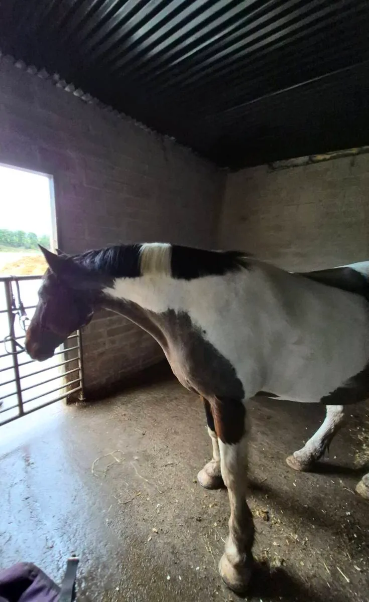 Perfect happy hacker - Image 1