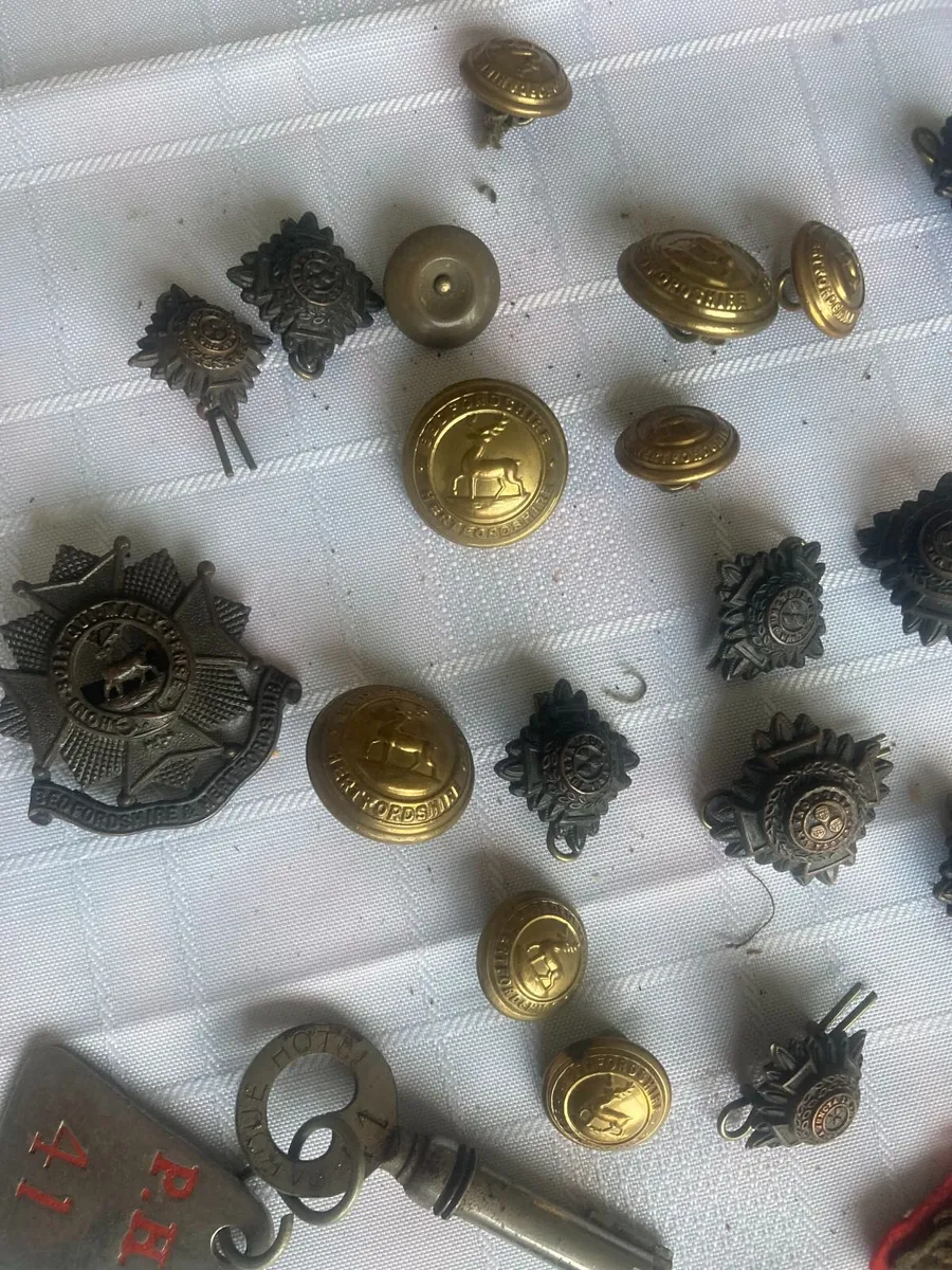 Antique Militaria - Buttons/Badges - Large Collect - Image 4