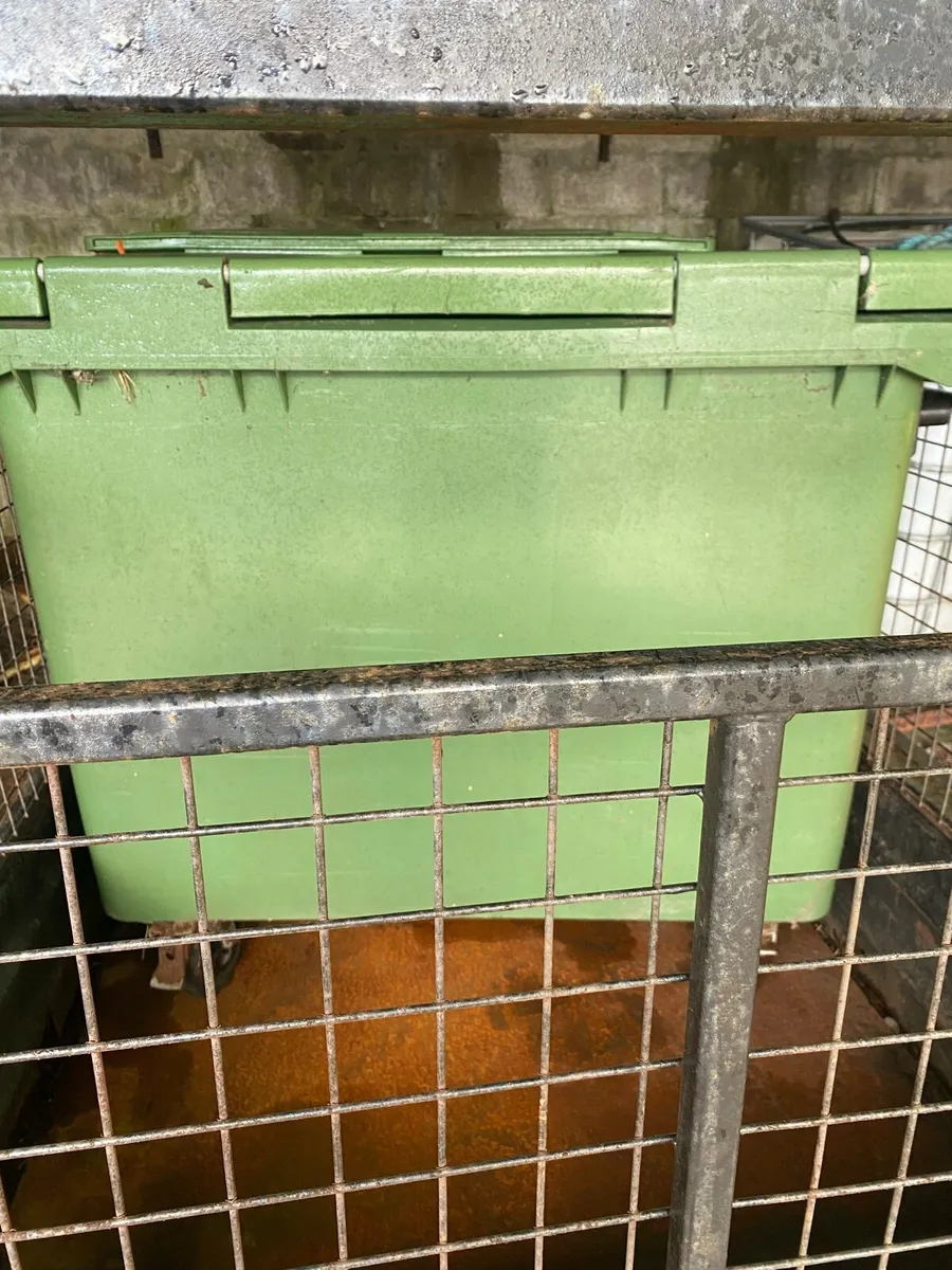 Shed clear out - Image 1