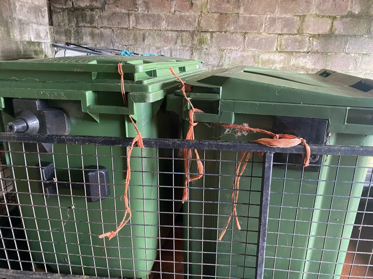 Shed clear out - Image 3