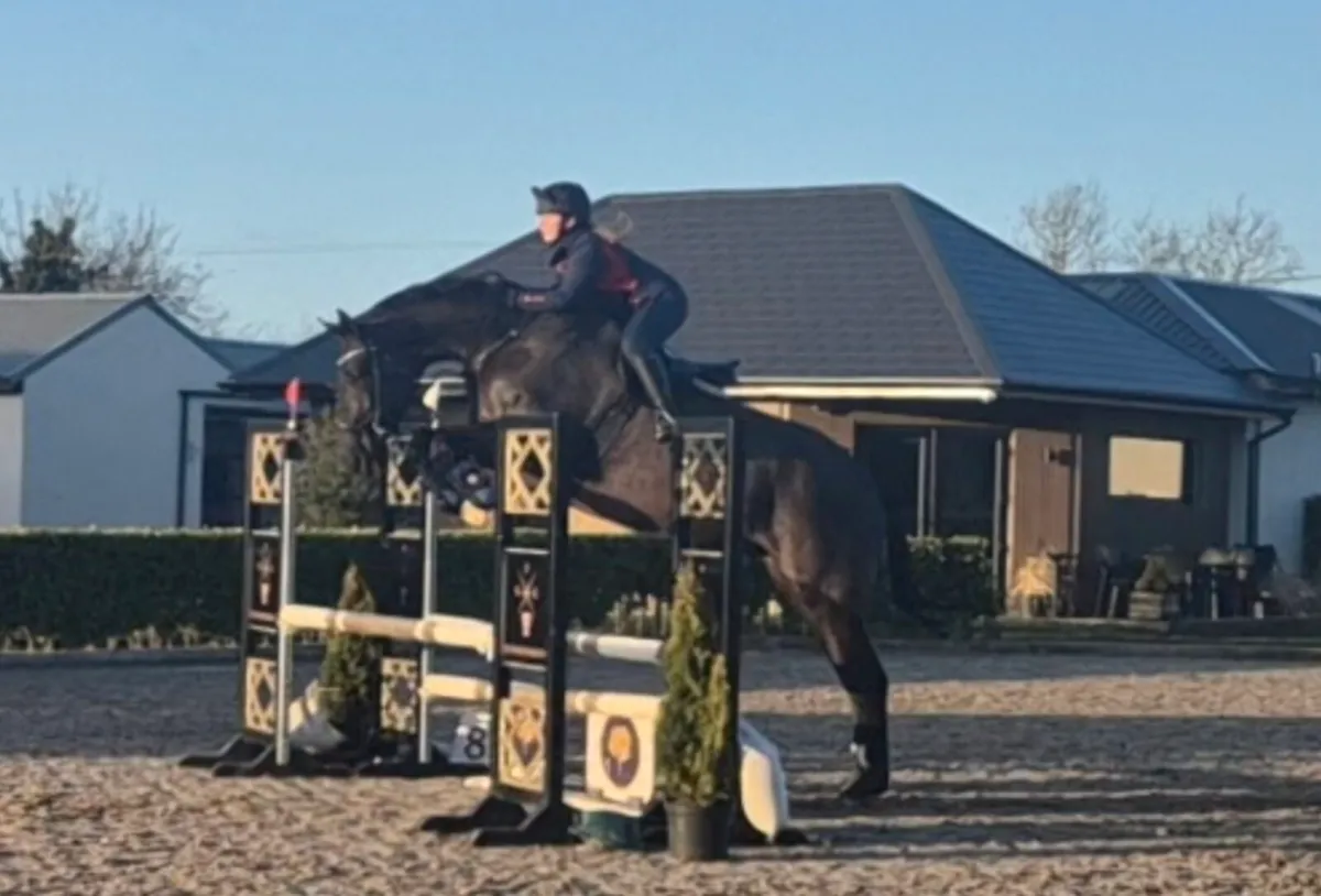 Dreaming Big - Image 1