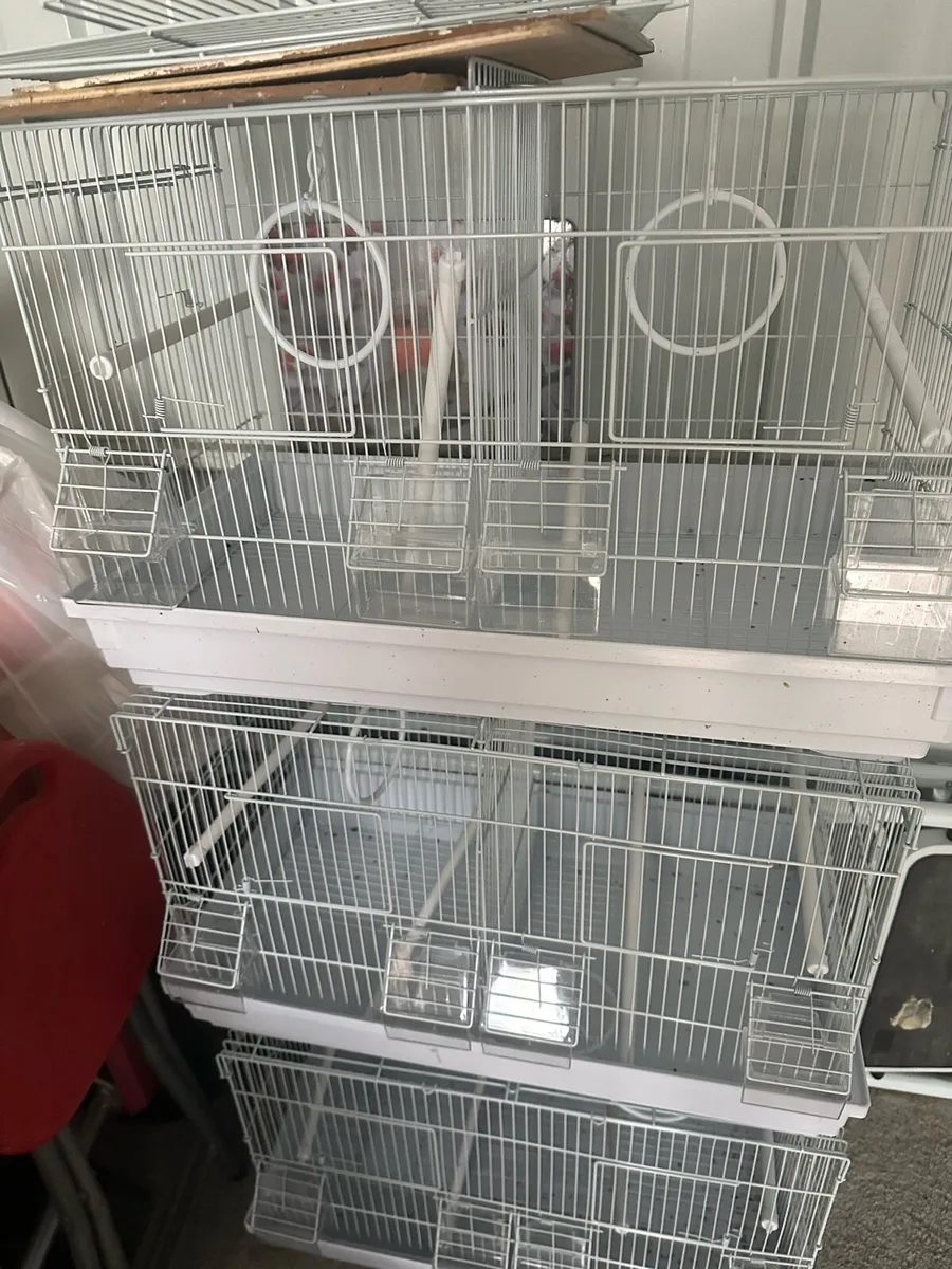 Bird cadges - Image 1