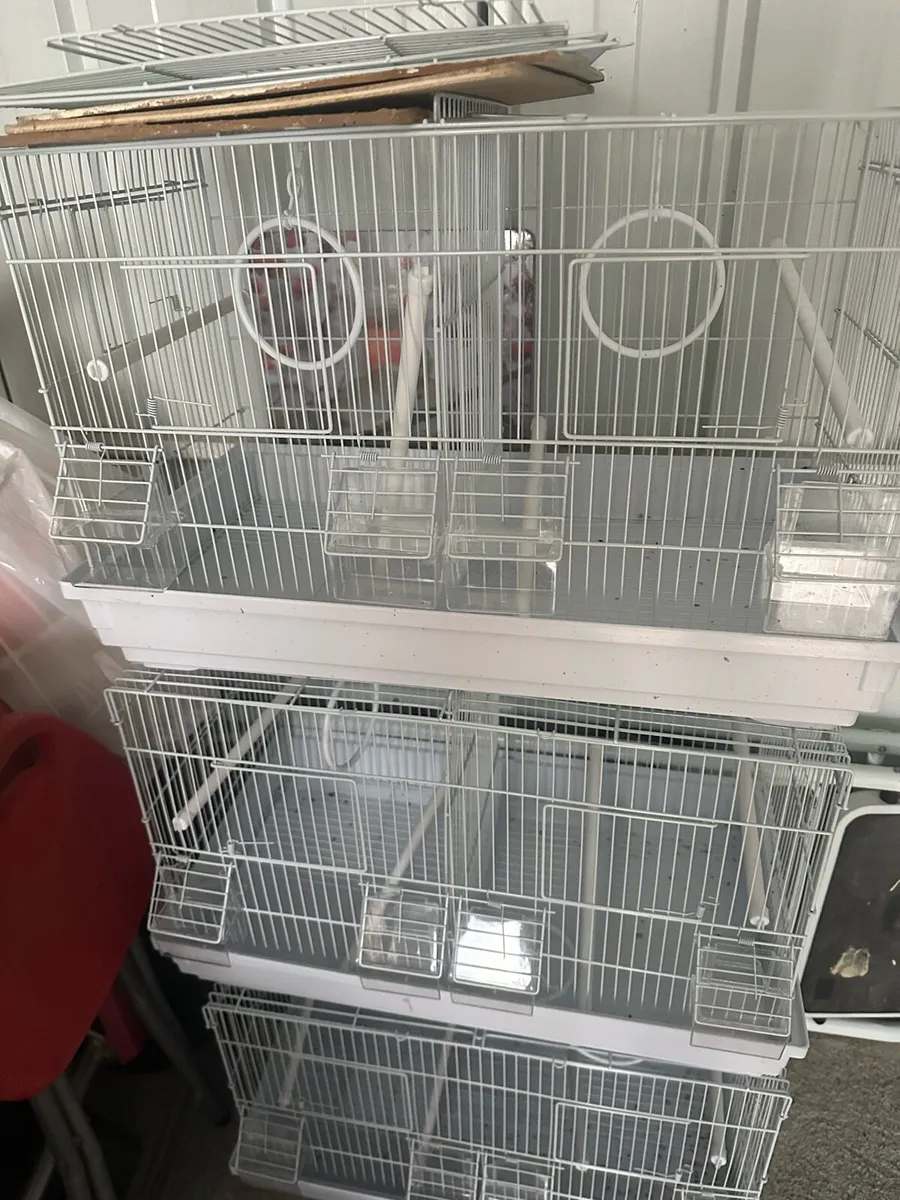 Bird cadges - Image 2