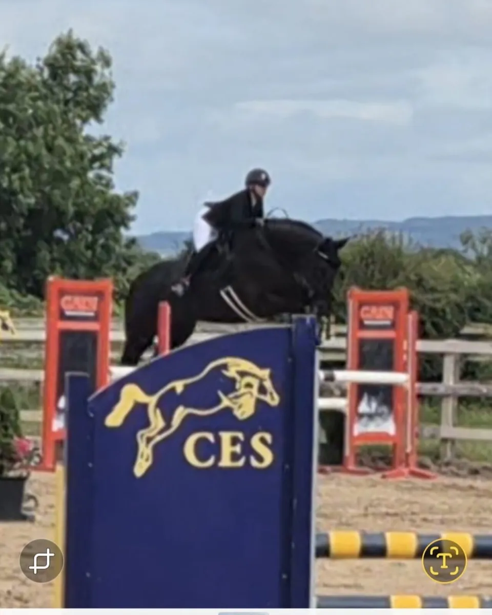 Dreaming Big - Image 3