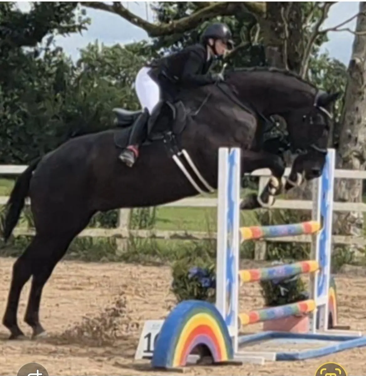 Dreaming Big - Image 4