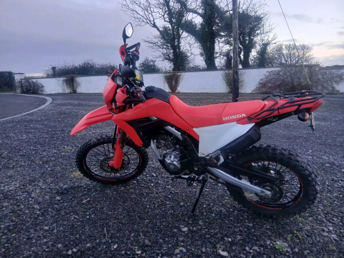Crf 300l - Image 2