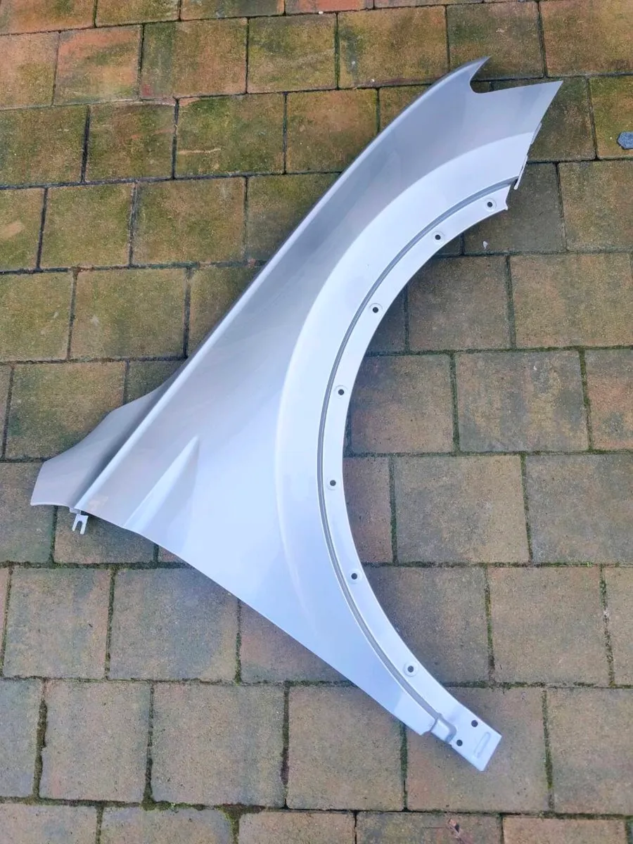 Volkswagen Tiguan Drivers Side Wing - Image 1