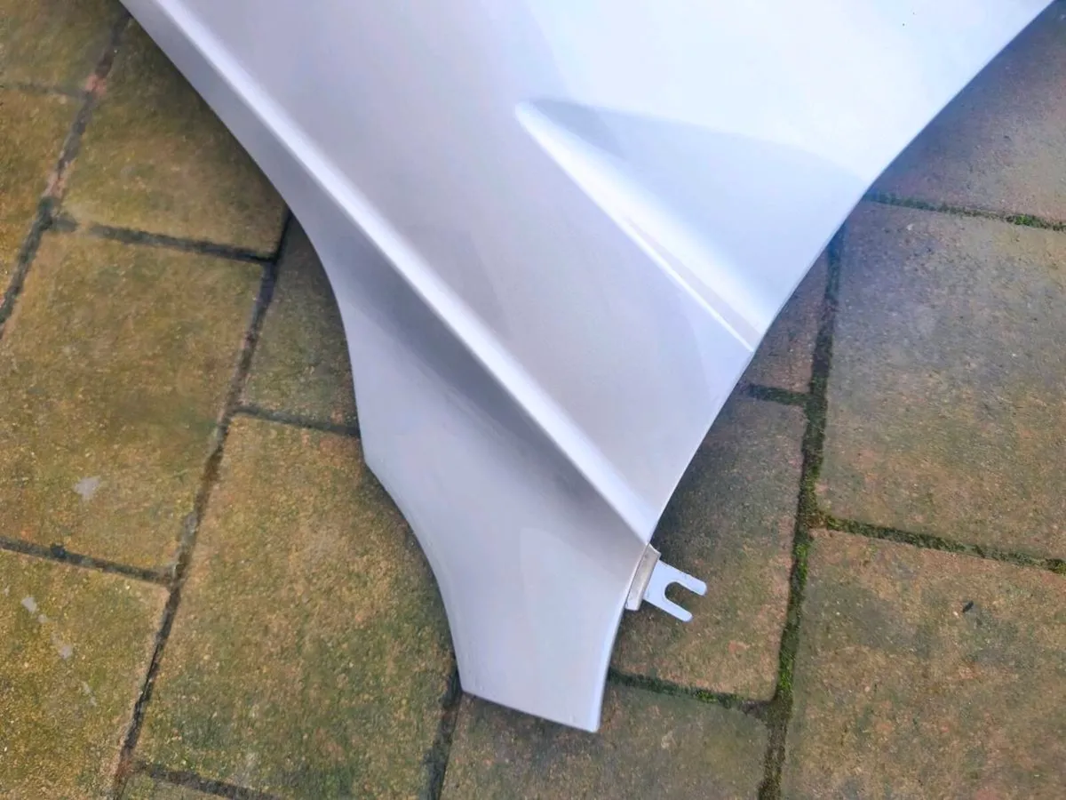 Volkswagen Tiguan Drivers Side Wing - Image 3