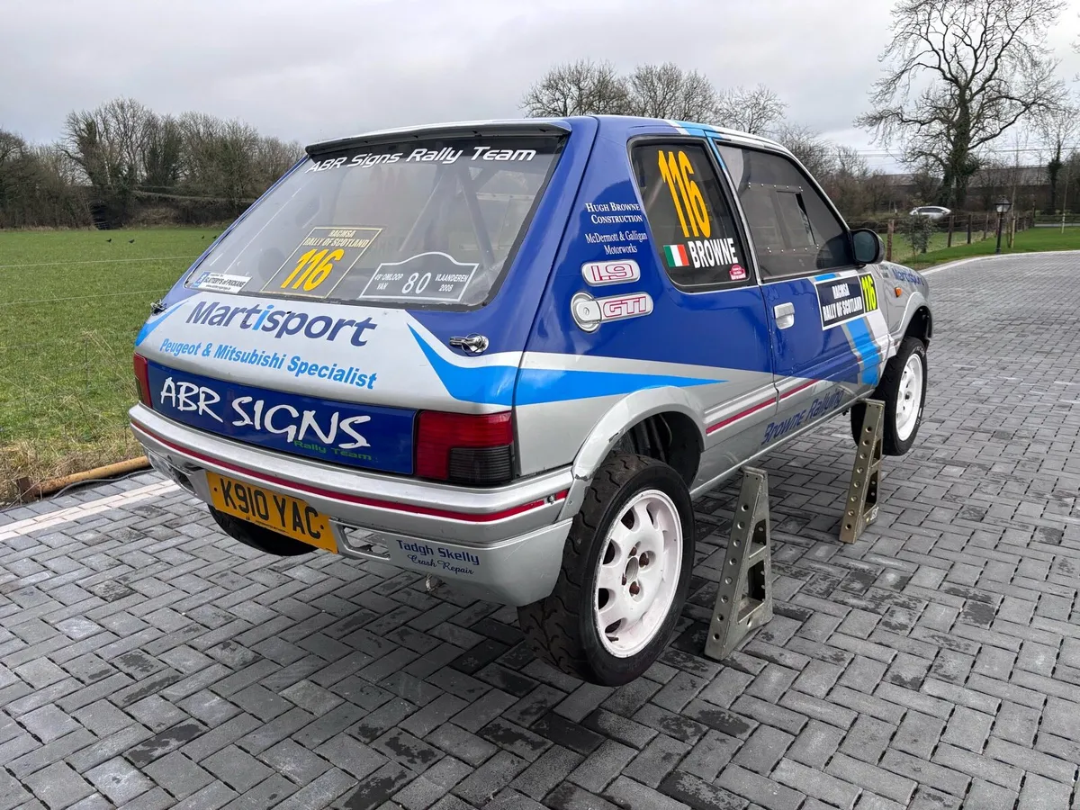 GpA Peugeot 205 project - Image 3