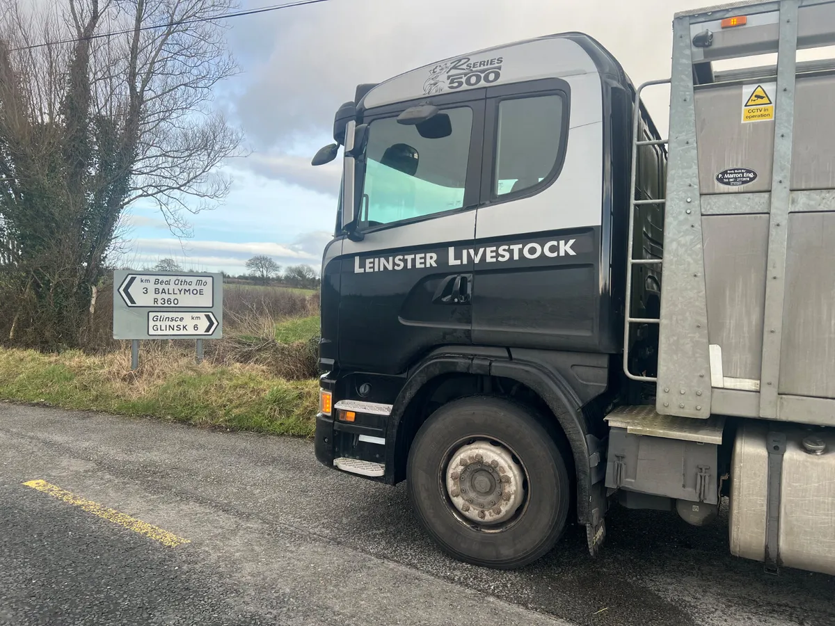 Smashing Heifers • 19/06/26 • Galway - Image 3