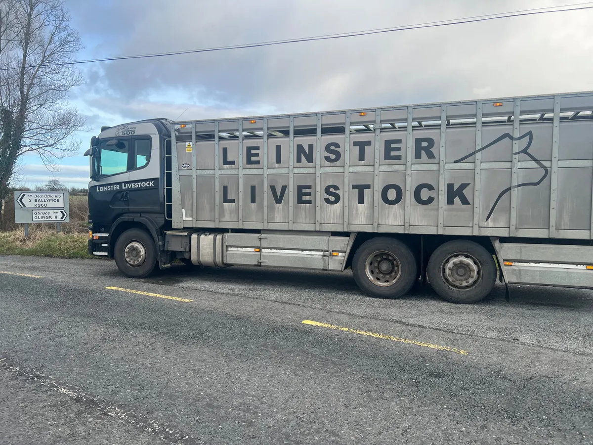 Smashing Heifers • 19/06/26 • Galway - Image 2