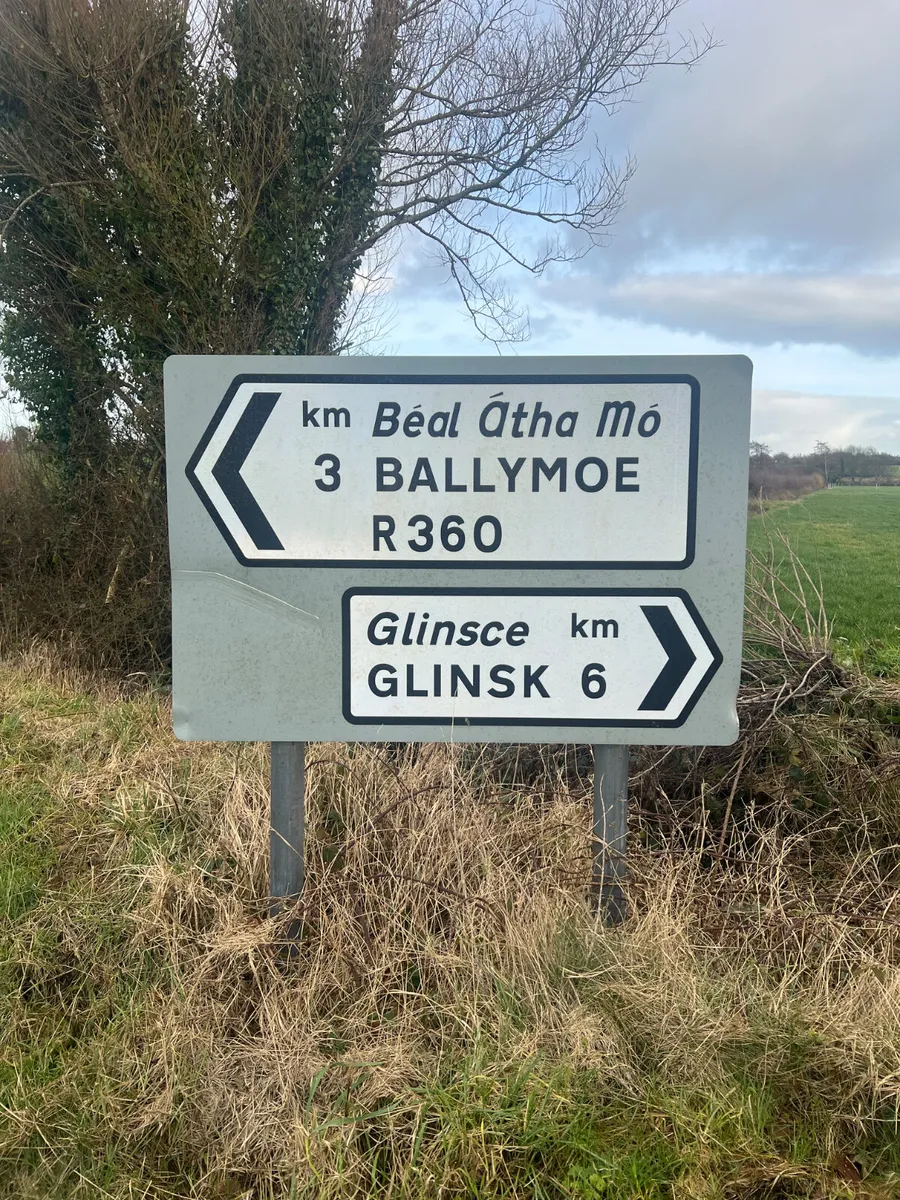 Smashing Heifers • 19/06/26 • Galway - Image 1