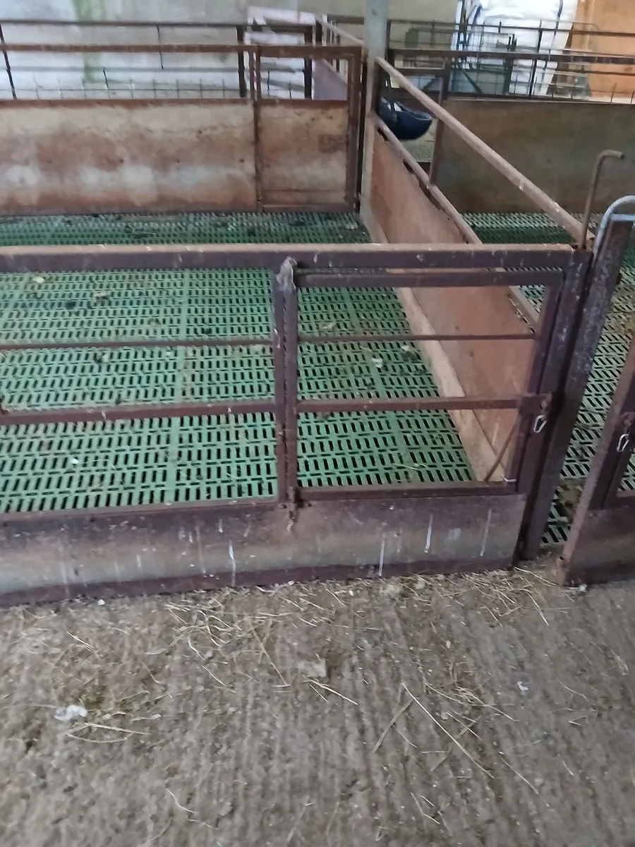 Sheep barriers - Image 1