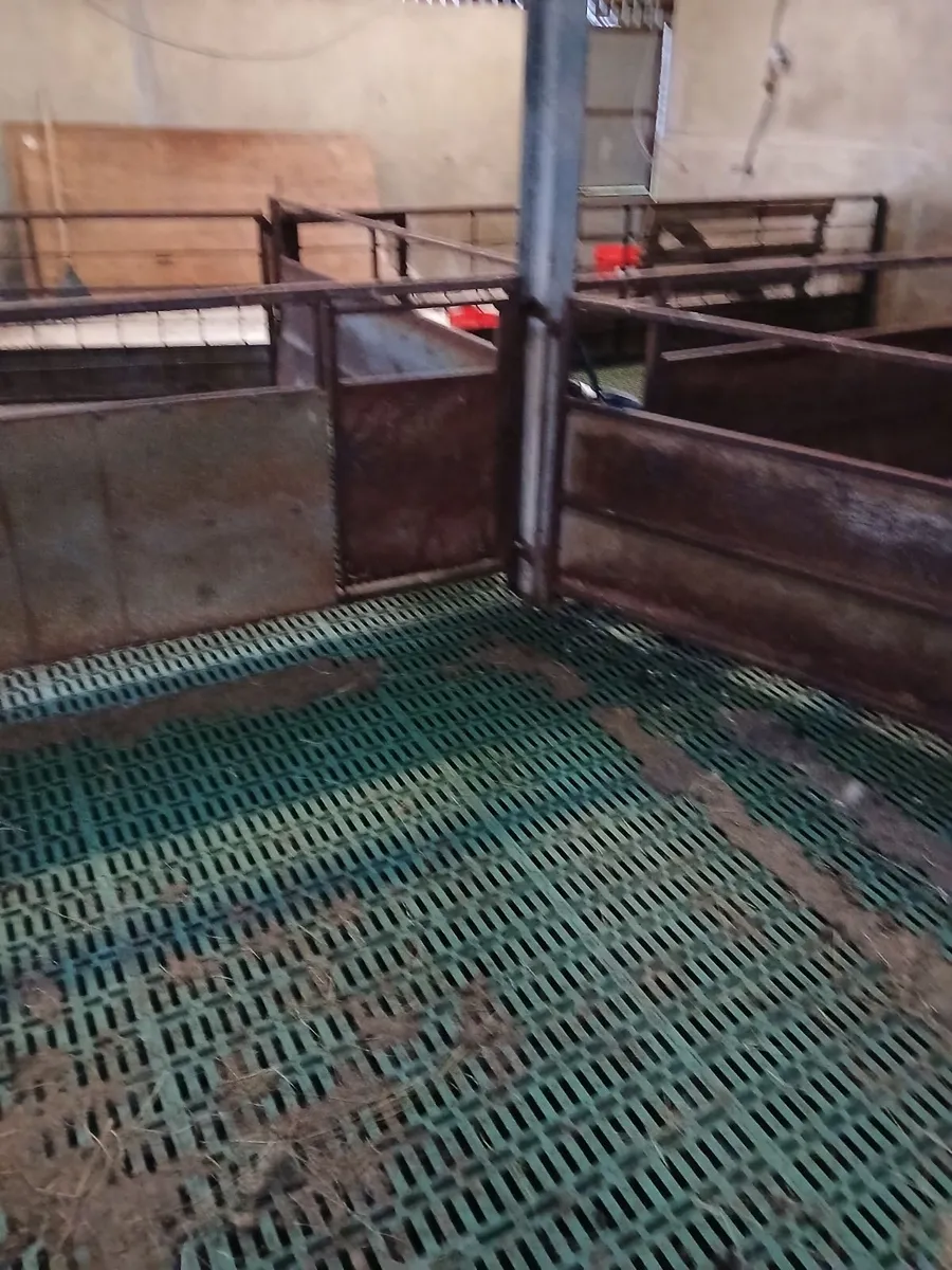 Sheep barriers - Image 2