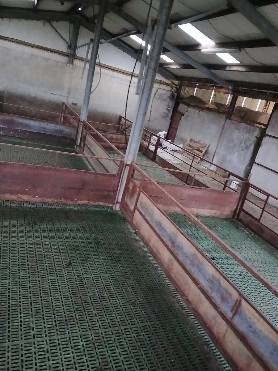 Sheep barriers - Image 3