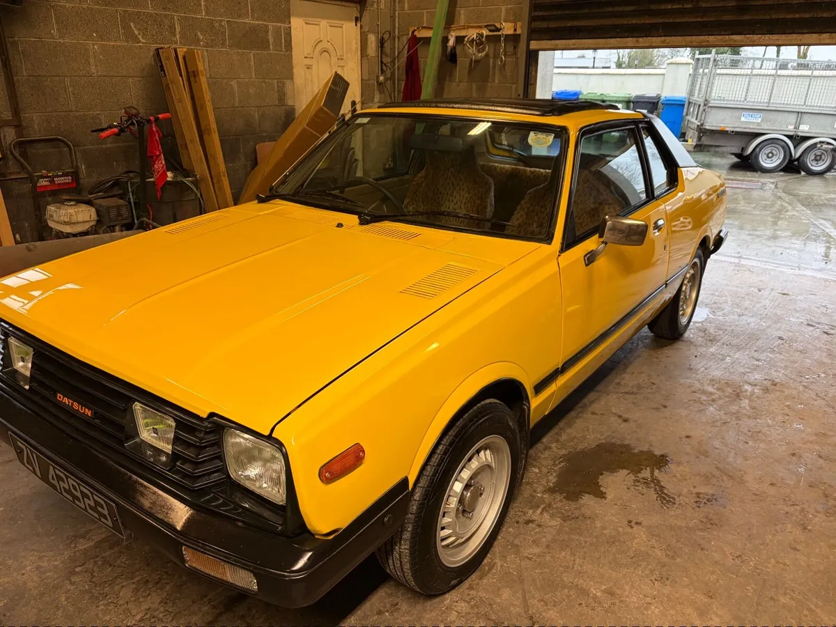 Datsun Other 1981 - Image 4