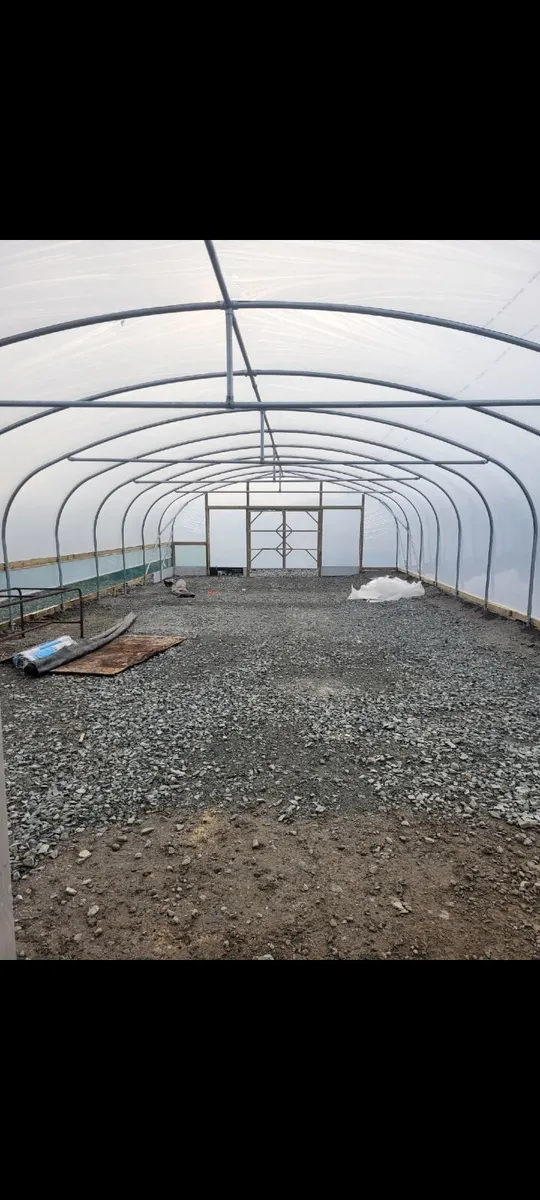 Polytunnel 60ft x 26ft - Image 2
