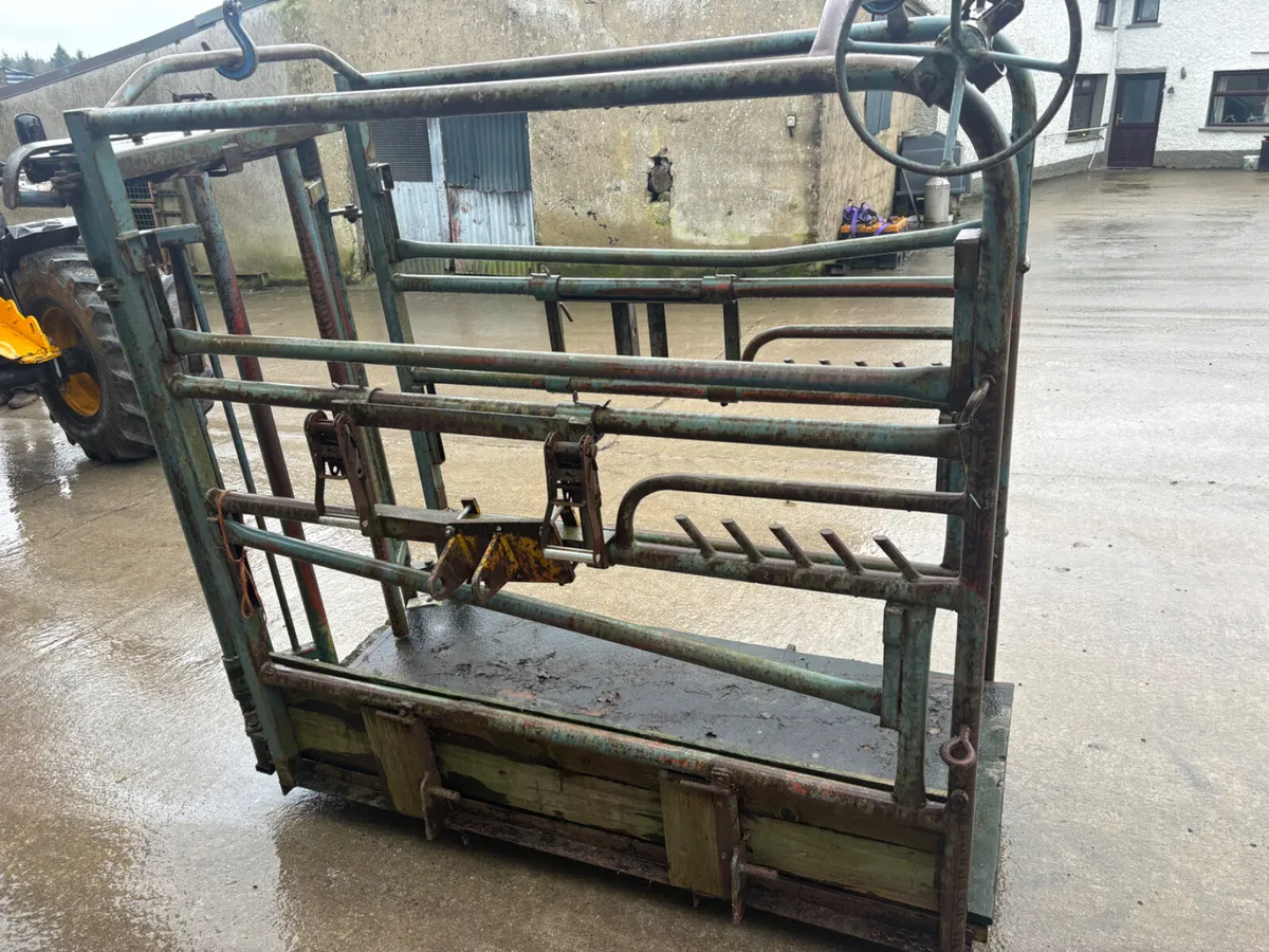 Heavy duty cattle crush - Image 3