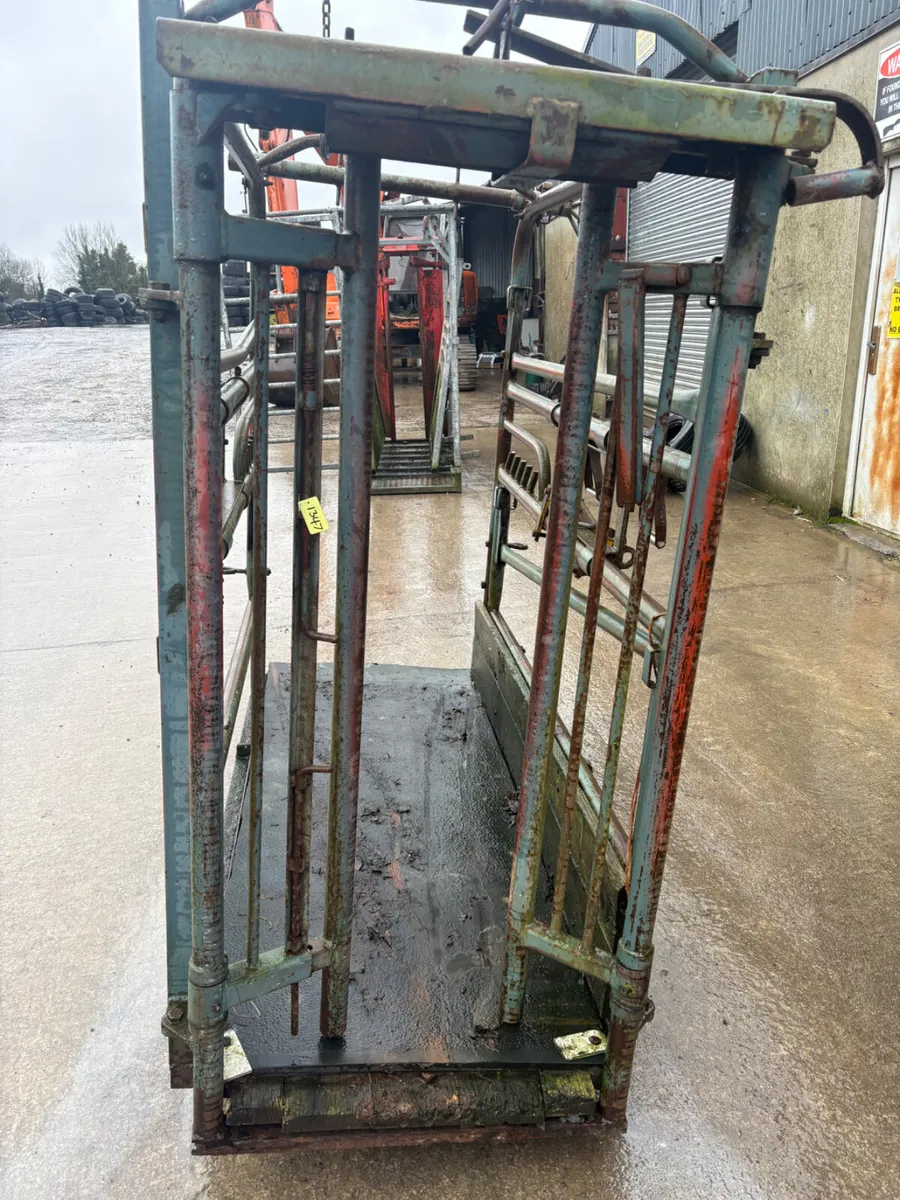 Heavy duty cattle crush - Image 2