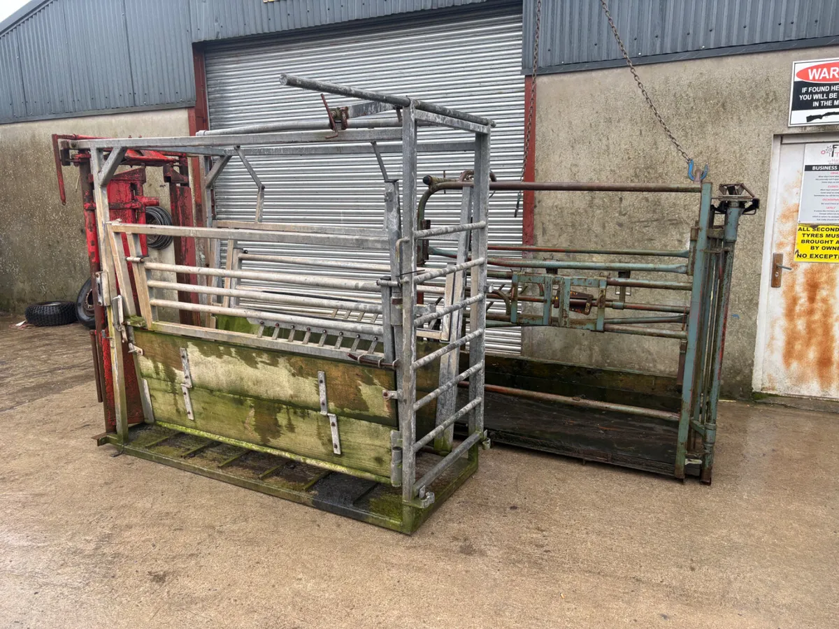 Heavy duty cattle crush - Image 1