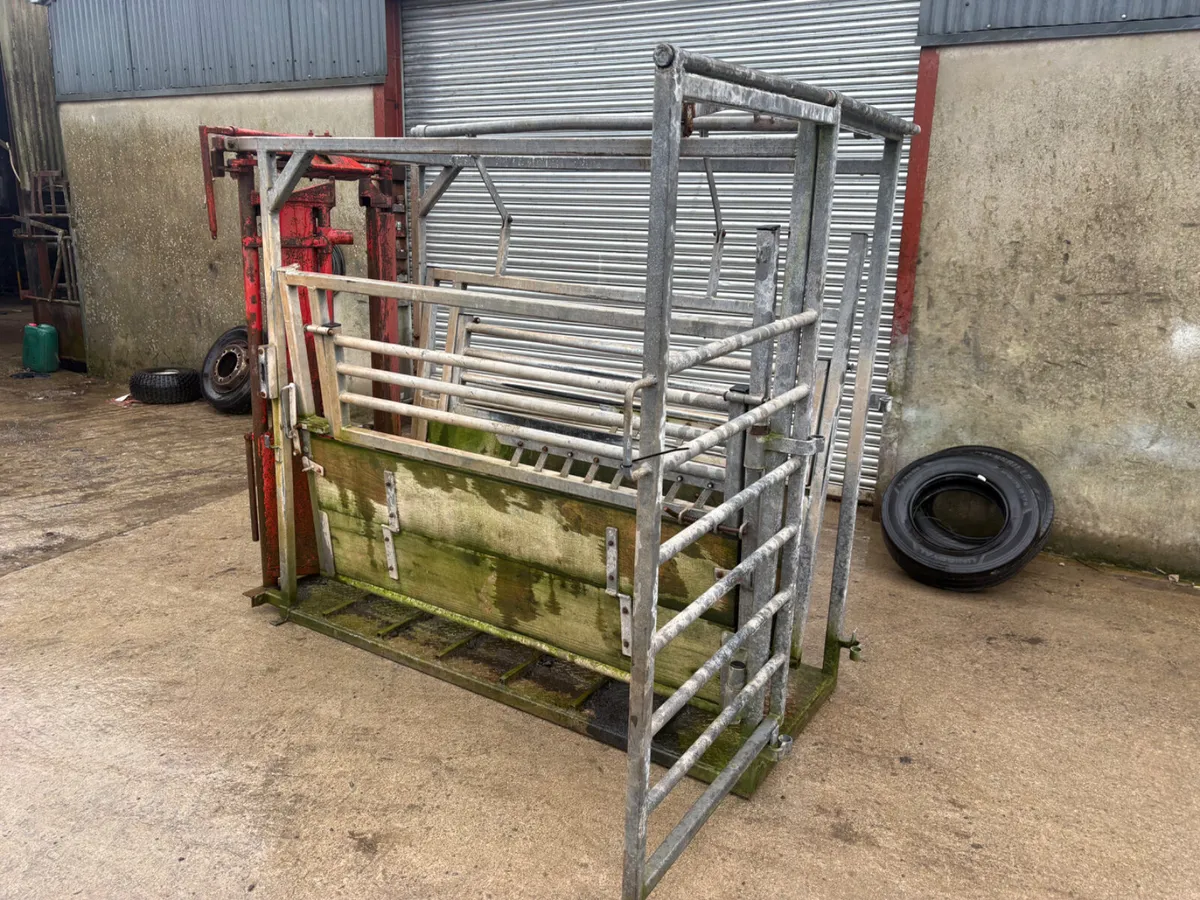 Heavy duty cattle crush - Image 2