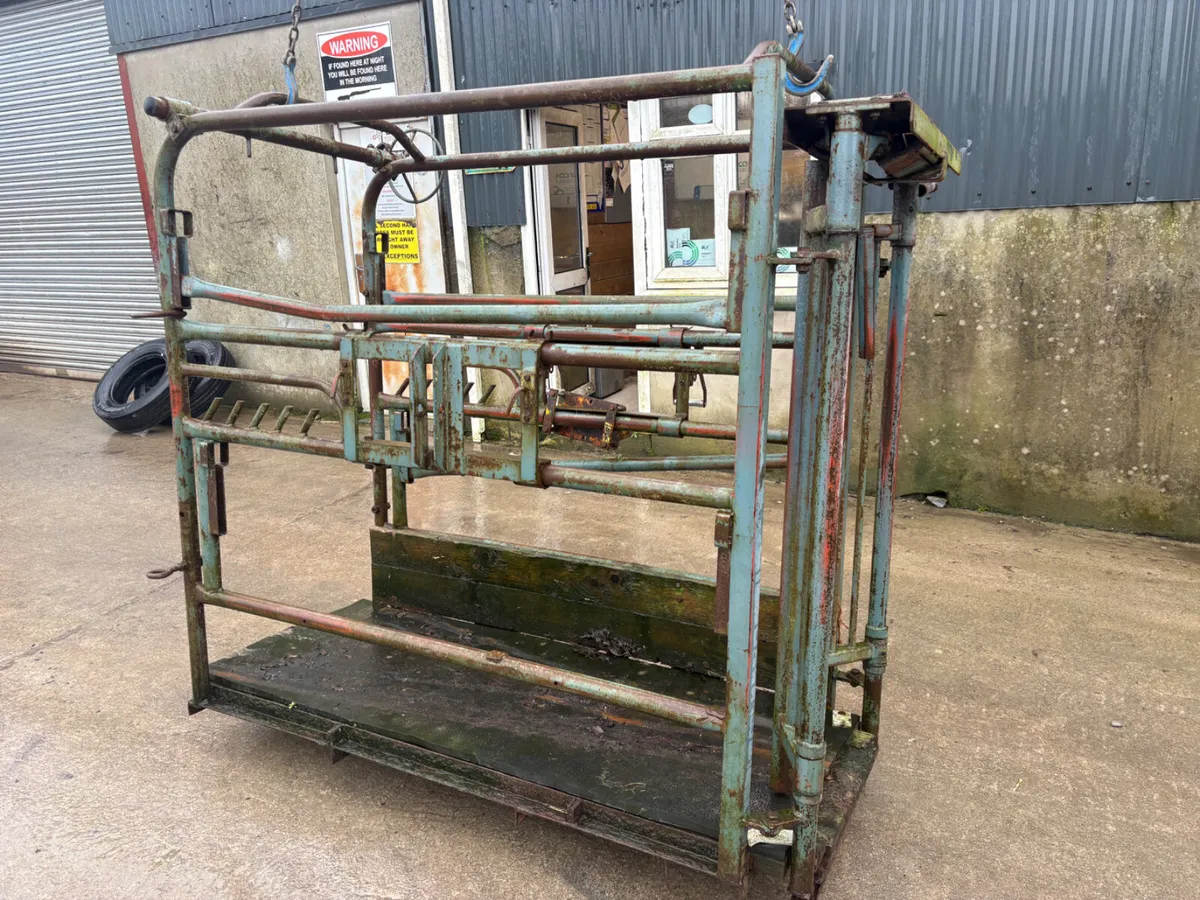 Heavy duty cattle crush - Image 4