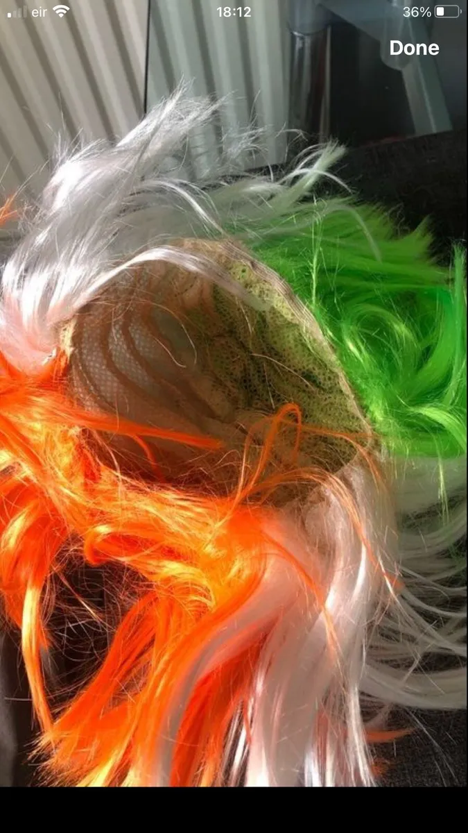 New Irish wig €10 - Image 3