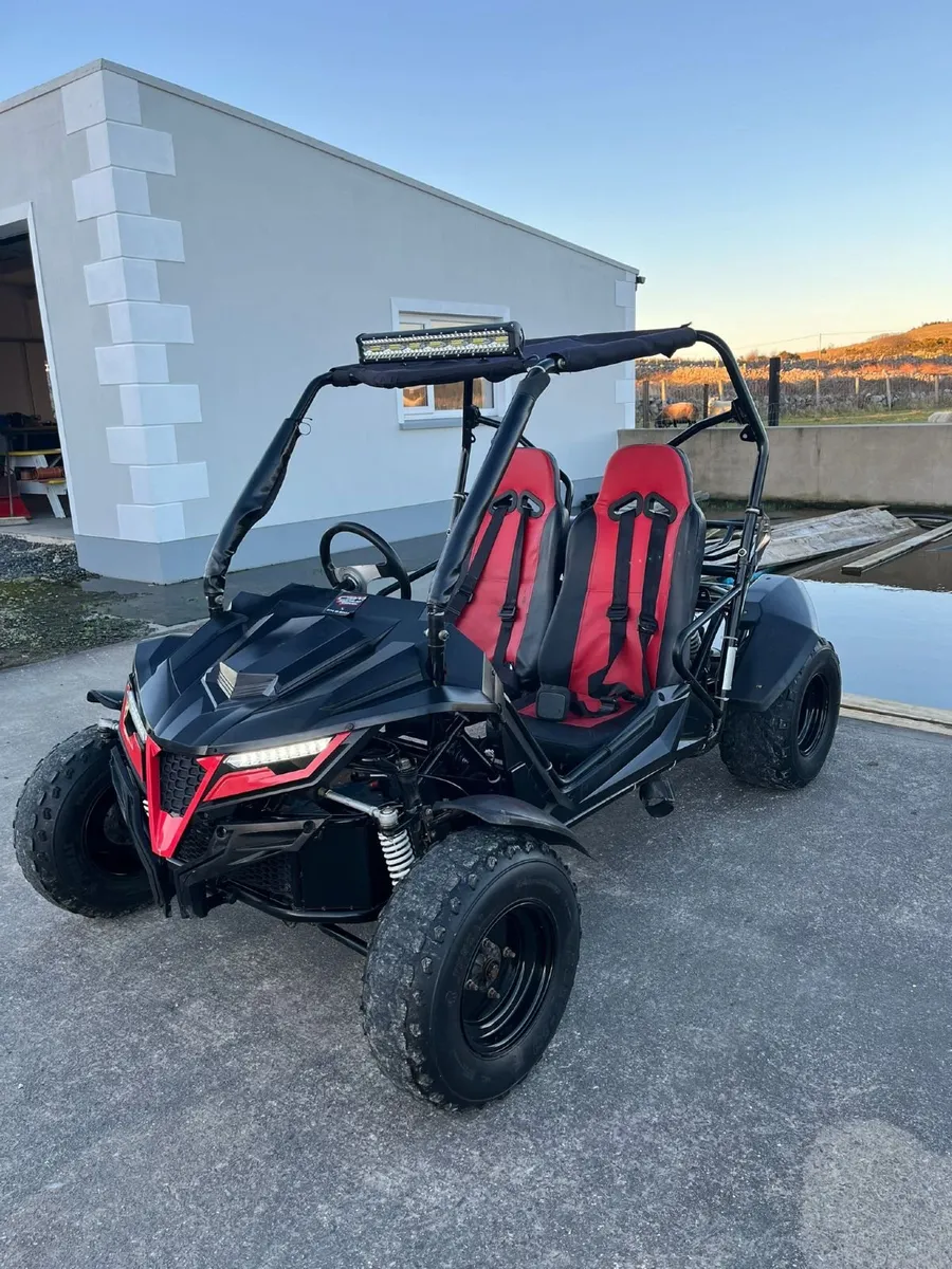 Quadzilla Buggy - Image 3