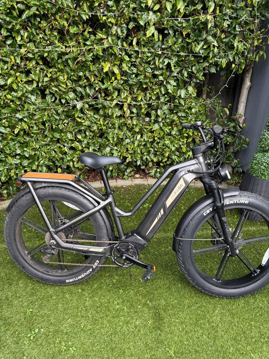 Fiido Titan M25 - Fat Tyre- Electric e-Bike - Image 1