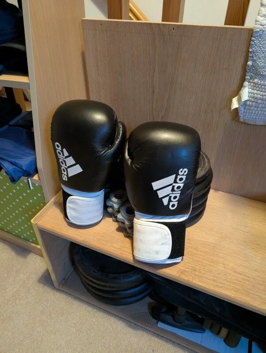 boxing - Image 4