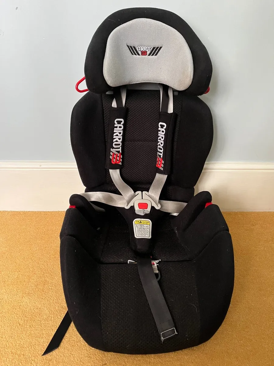 Special Needs Car Seat