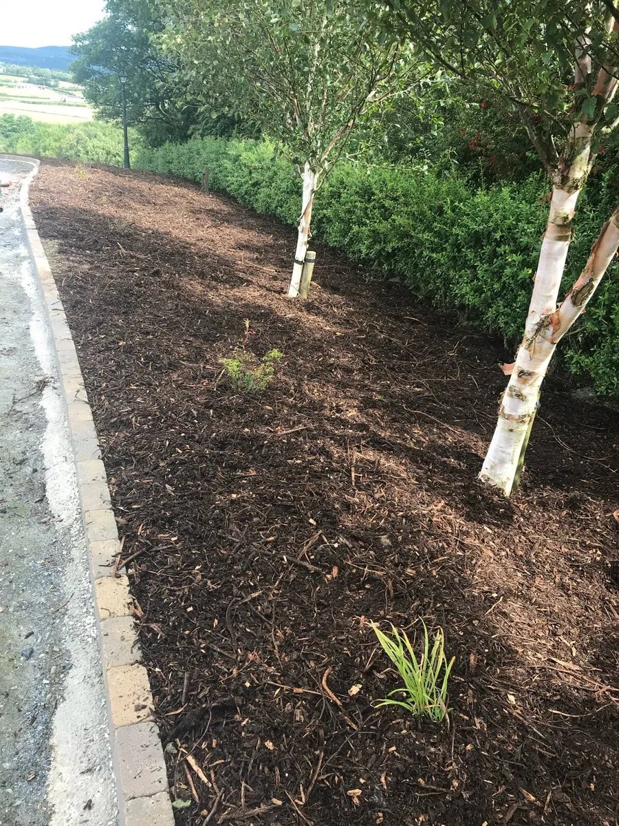 Garden mulch - Image 2