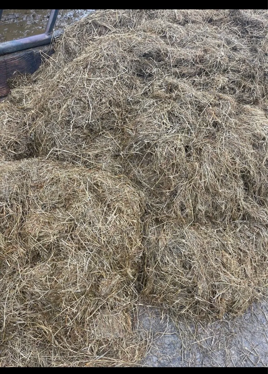 Bales of straw(10)  and silage (20) - Image 2