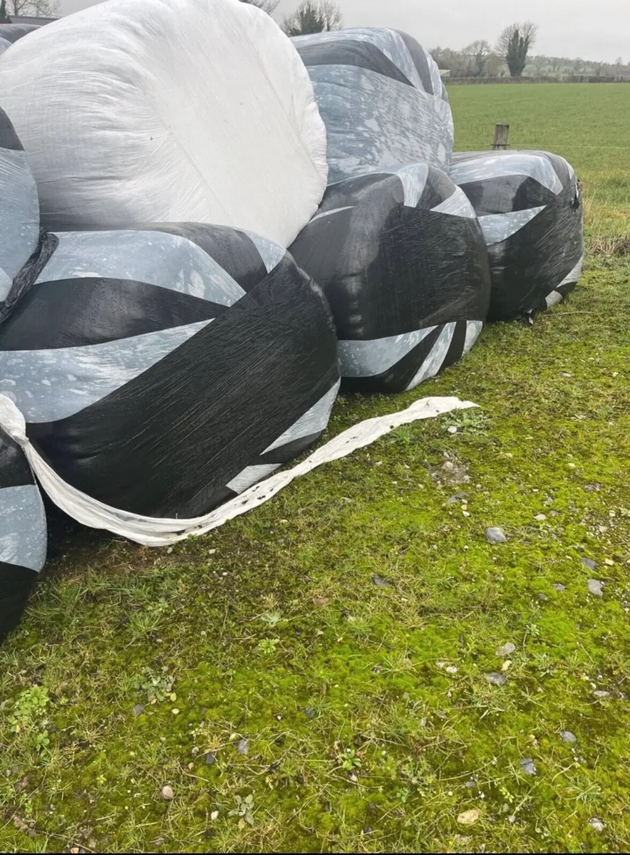 Bales of straw(10)  and silage (20) - Image 3