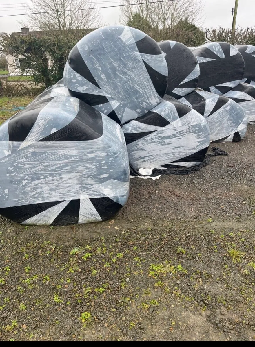 Bales of straw(10)  and silage (20) - Image 1