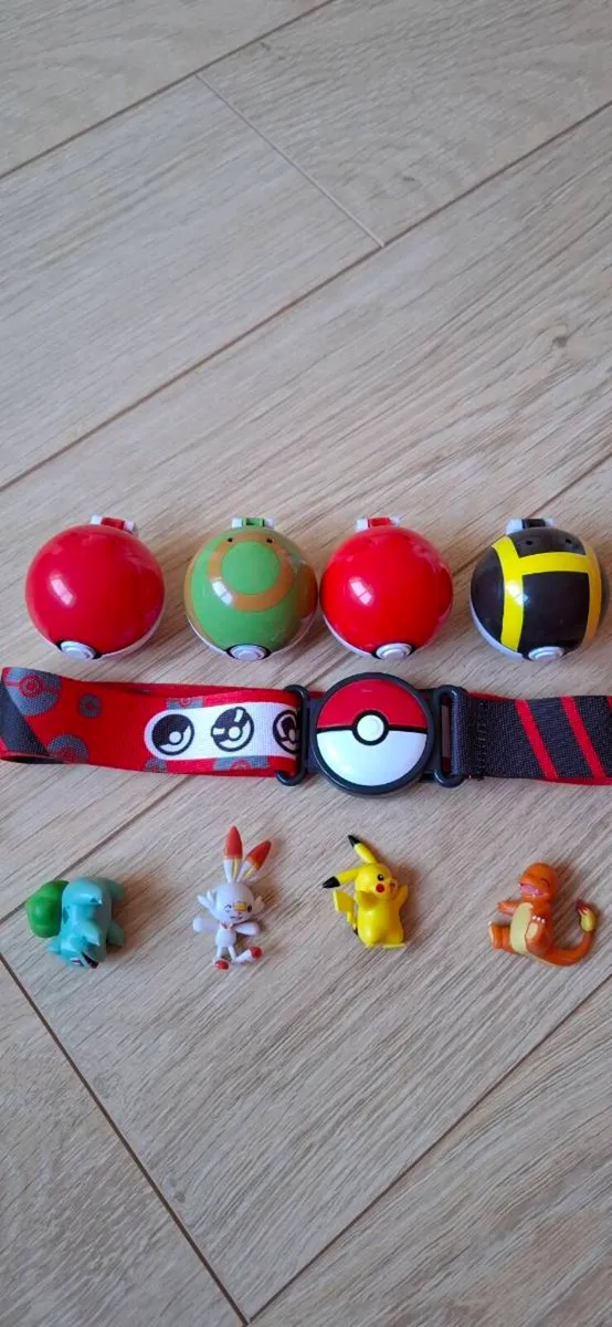 Pokemon Belt