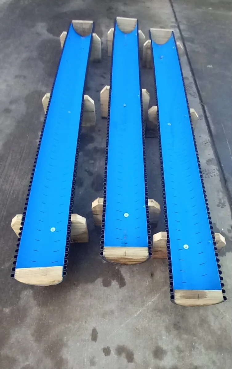 Sheep Trough pet lamb - Image 2