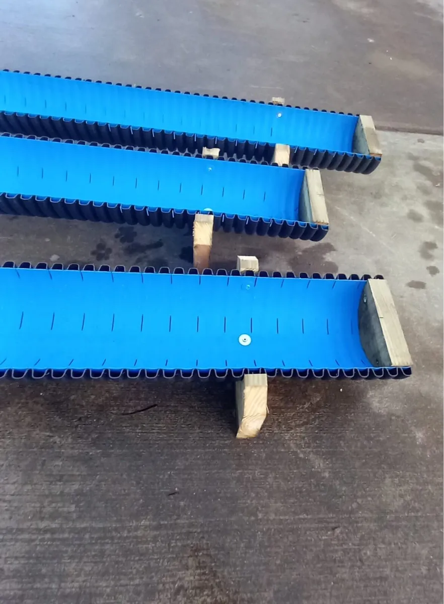 Sheep Trough pet lamb - Image 3