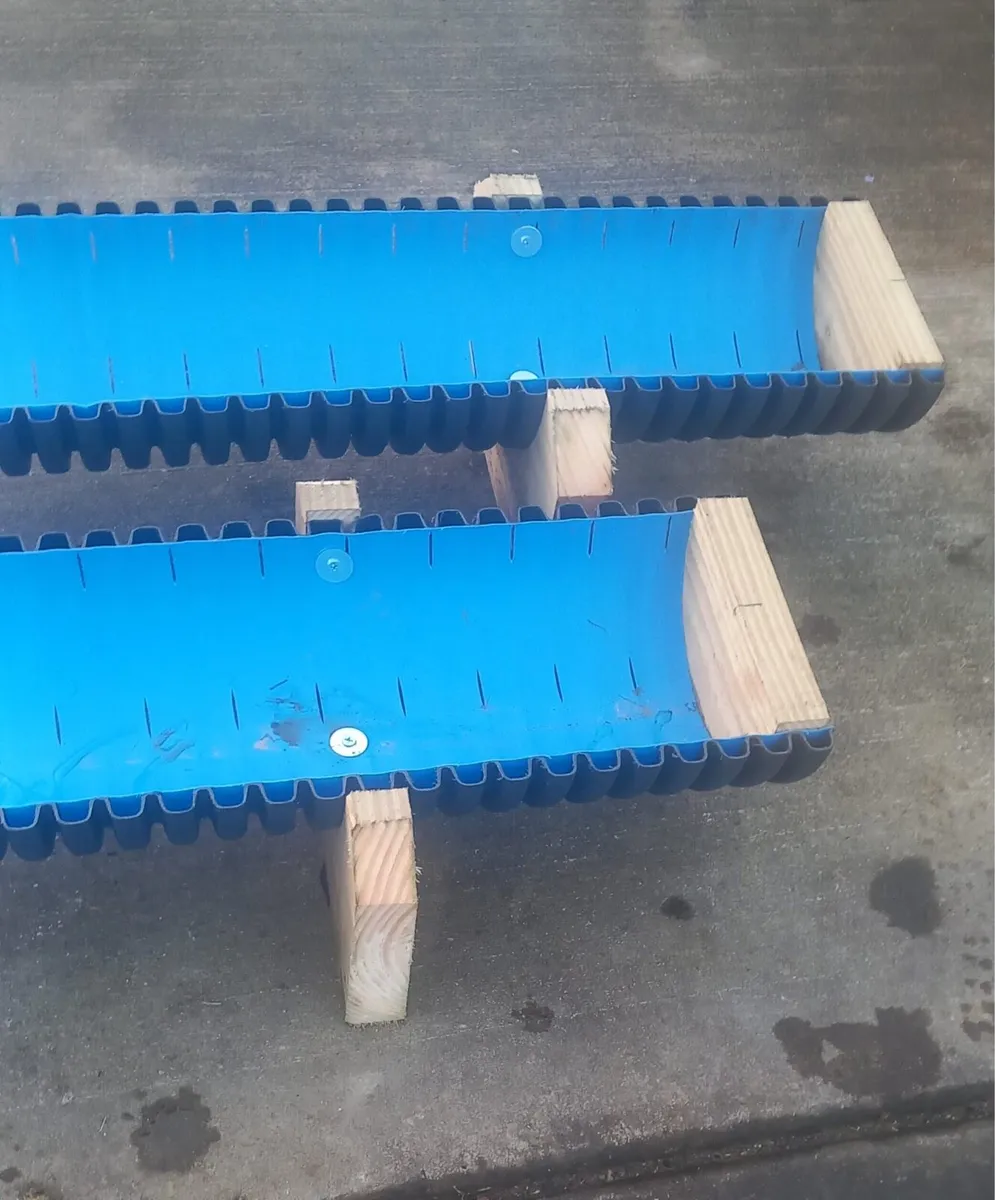 Sheep Trough pet lamb - Image 4