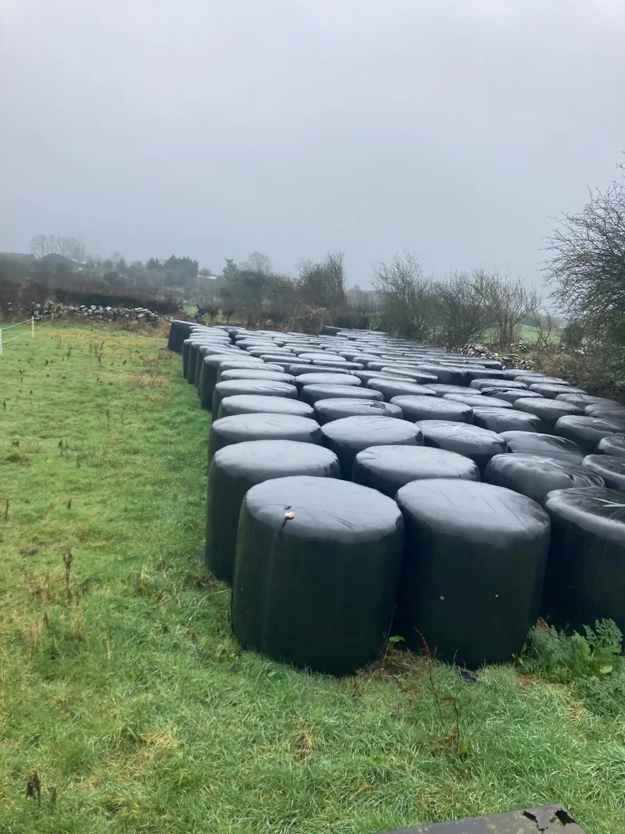Silage & Hay - Image 2