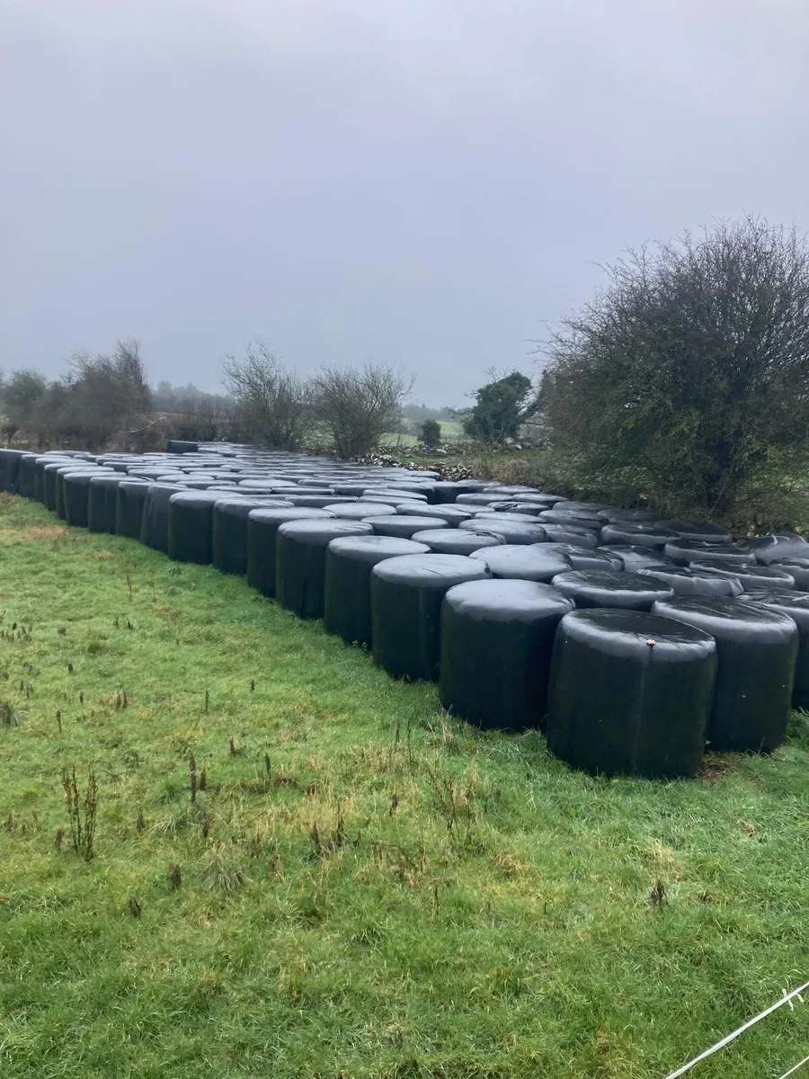 Silage & Hay - Image 3