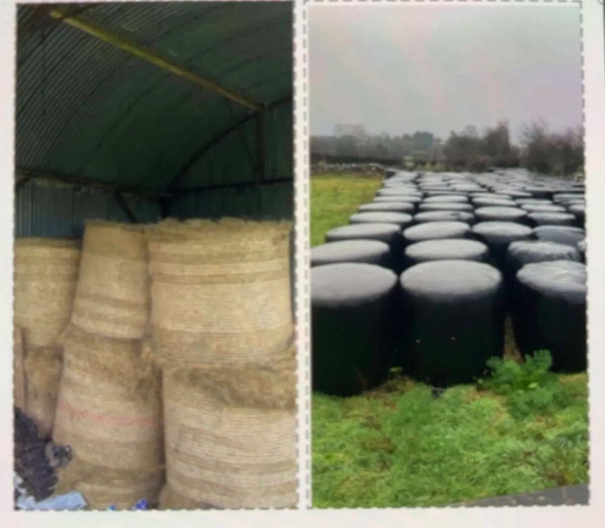 Silage & Hay - Image 1