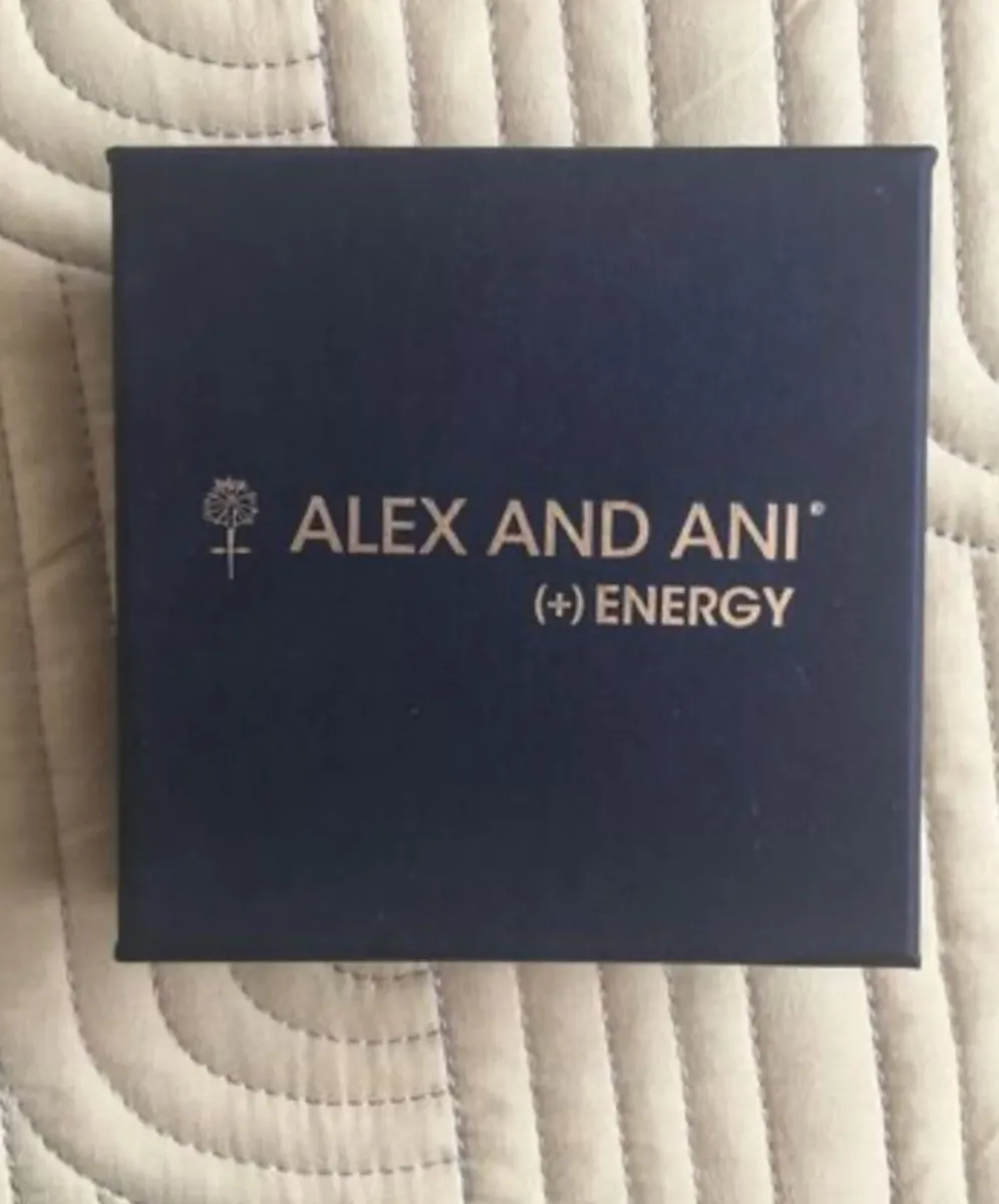 BNWT Alex and Ani Bracelet - Energy - Image 1