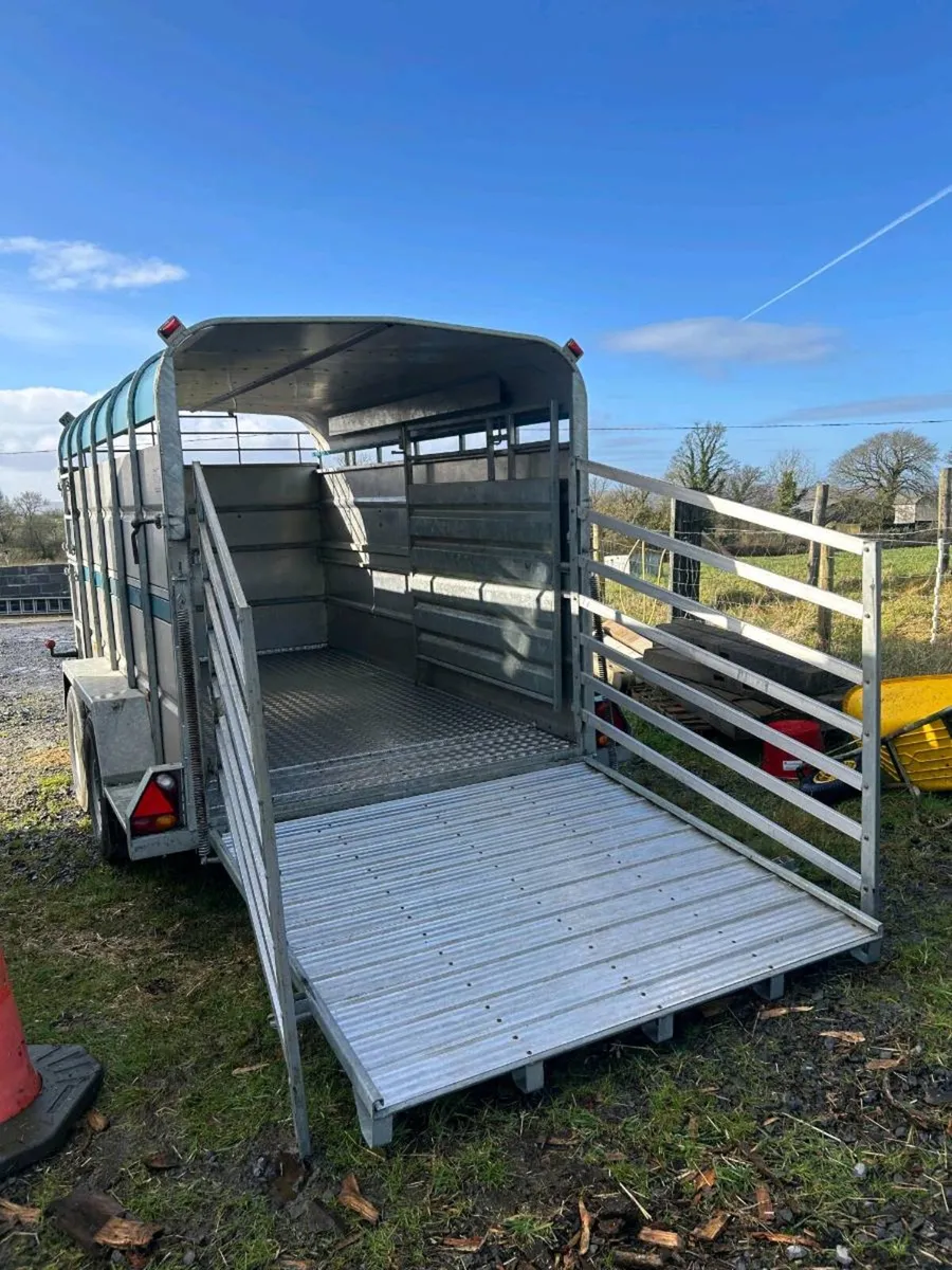 Tuffmac cattle trailer 12x6 - Image 3