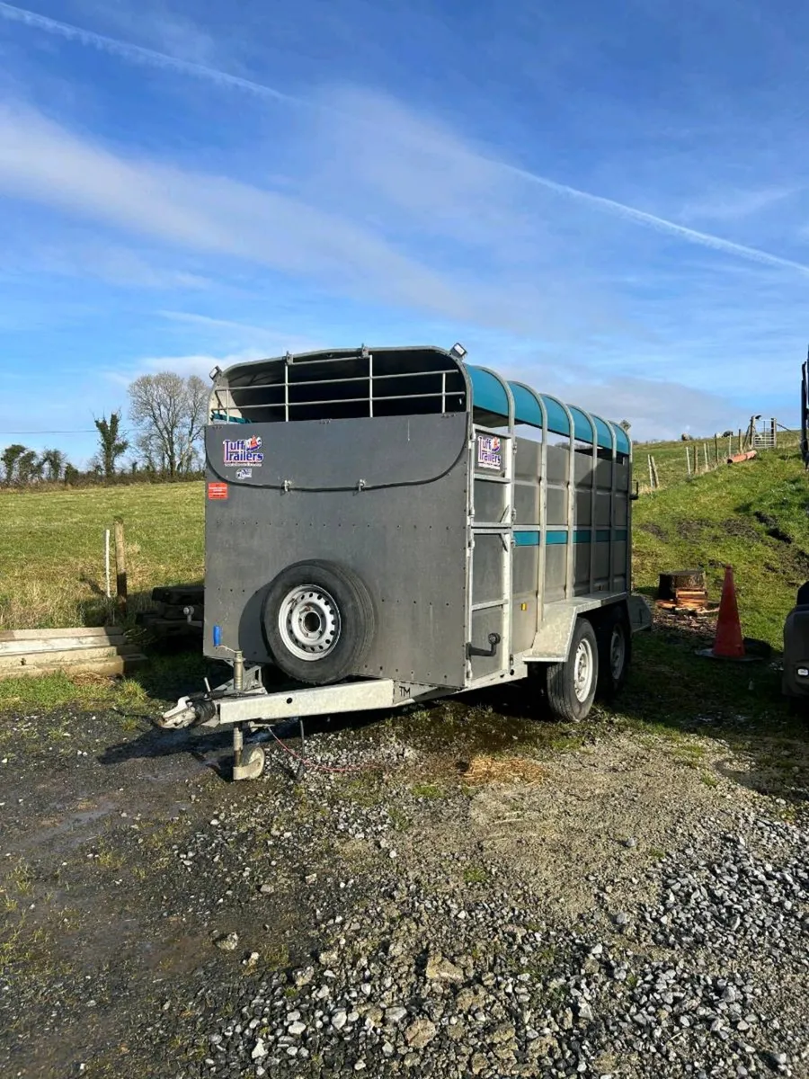 Tuffmac cattle trailer 12x6 - Image 4