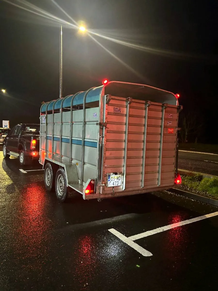 Tuffmac cattle trailer 12x6 - Image 2
