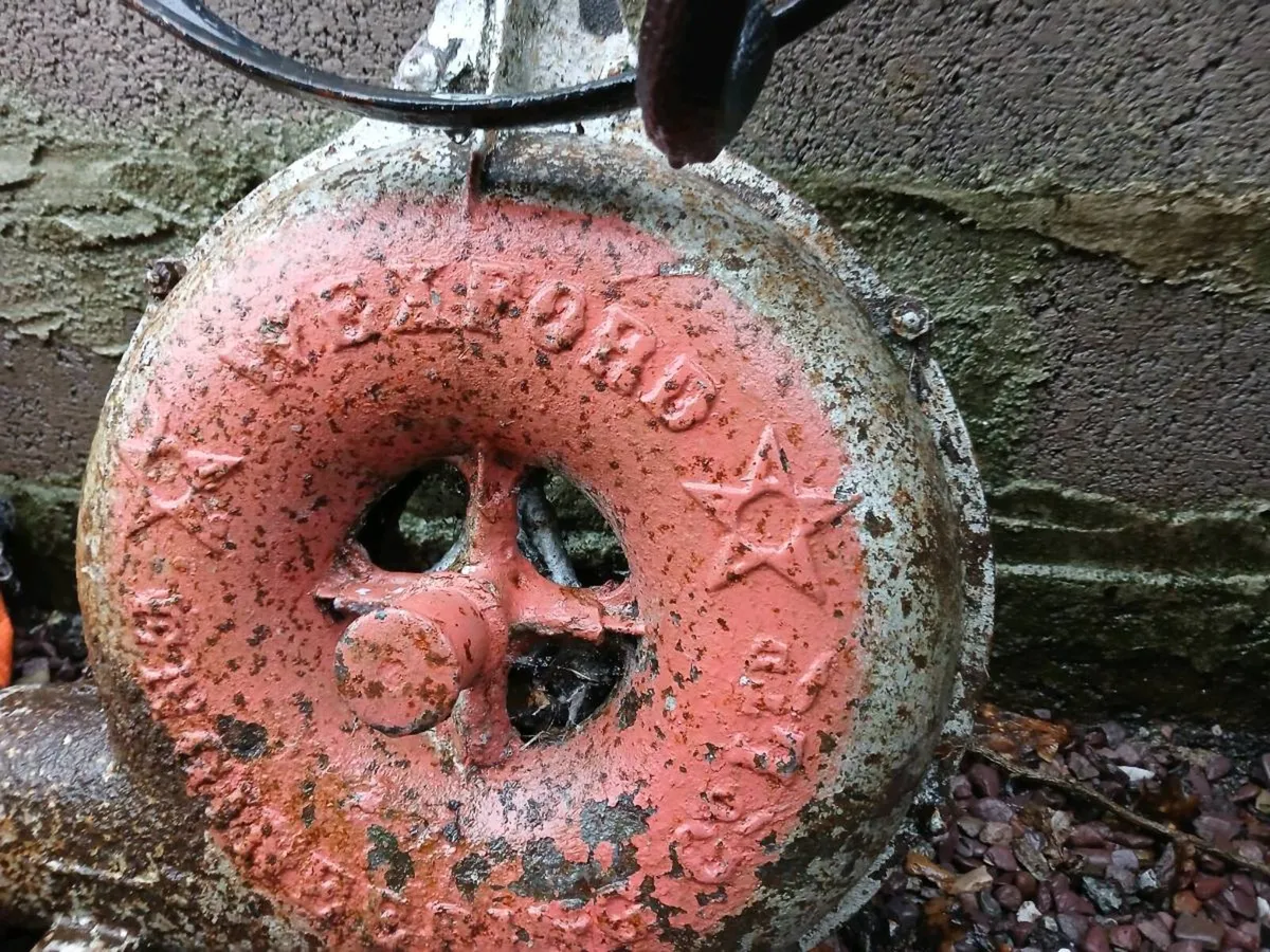 Old Bellace - Image 2