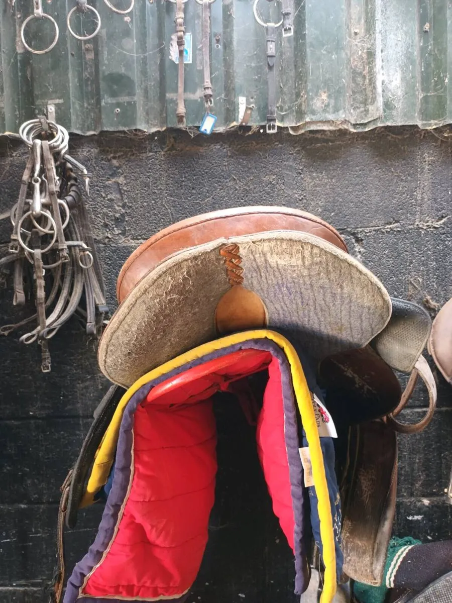 Stock saddle - Image 2