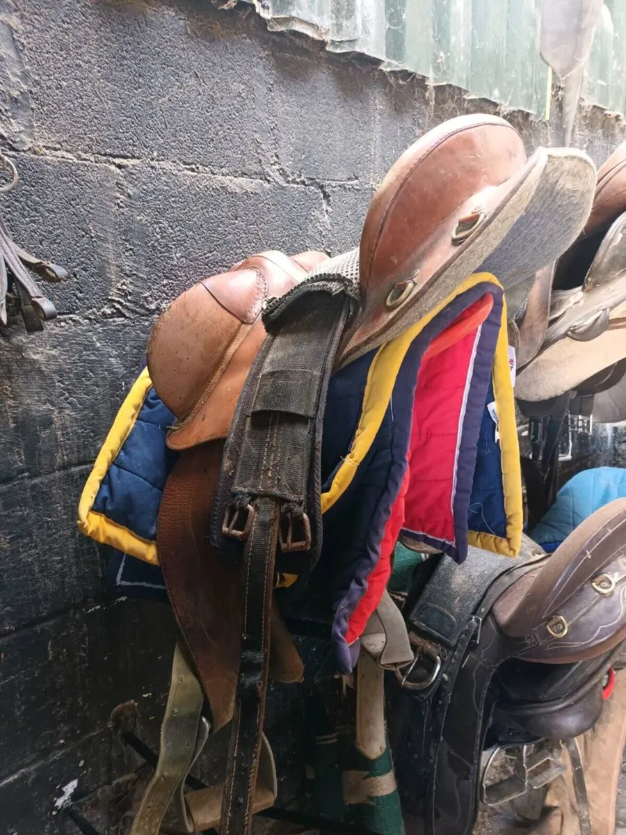 Stock saddle - Image 3