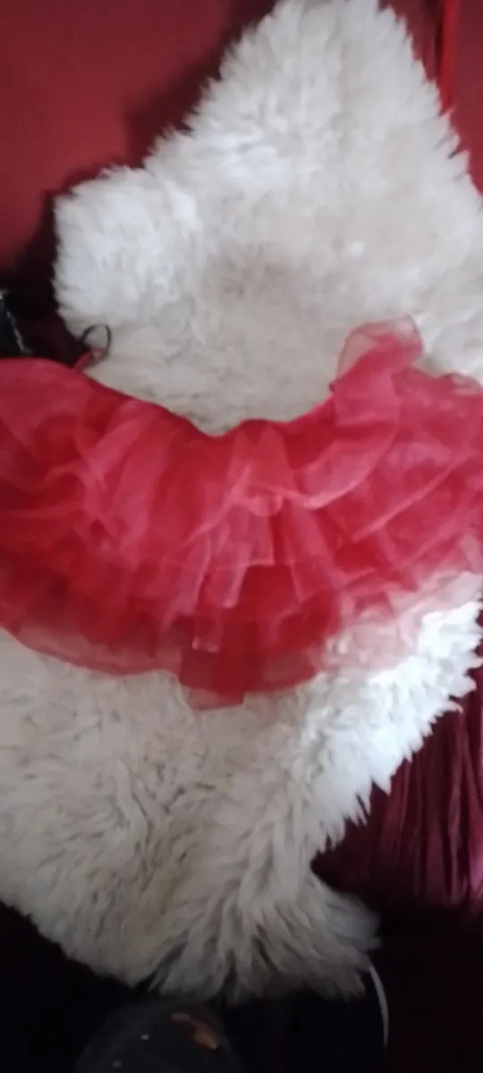 Crossdresser? Lingerie.wigs silicone bra filler - Image 2